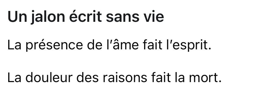 Extrait anonymisé du poème Un jalon écrit sans vie : l’âme, l’esprit, la raison et la mort.